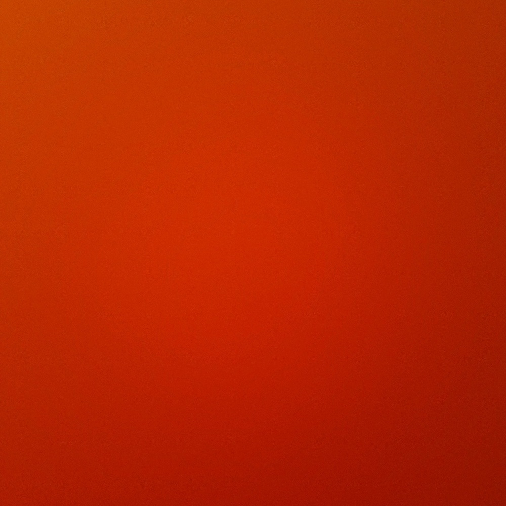 Meet your Posher, Janae